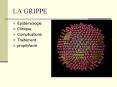 LA GRIPPE PowerPoint PPT Presentation