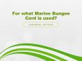 For what Marine Bungee Cord is used? PowerPoint PPT Presentation