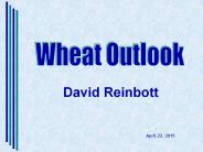 Wheat Outlook