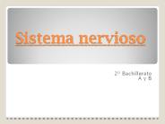 Sistema nervioso