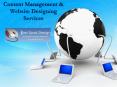Content Management & Website Designing Services PowerPoint PPT Presentation