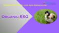 Why Natural SEO is best for Search Engine Ranking now days PowerPoint PPT Presentation