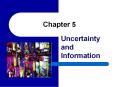 Uncertainty and Information PowerPoint PPT Presentation