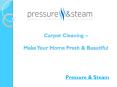 Carpet Cleaning – Make Your Home Fresh & Beautiful PowerPoint PPT Presentation
