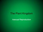 The Plant Kingdom
