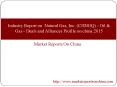 Industry Report on  Natural Gas, Inc. (CHNGQ) - Oil & Gas - Deals and Alliances Profile on china 2015 PowerPoint PPT Presentation