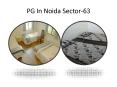 Pg in noida sector 63