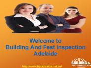 Adelaide Building And Pest Inspection