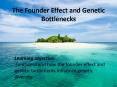 The Founder Effect and Genetic Bottlenecks PowerPoint PPT Presentation