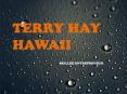 TERRY HAY OF HAWAII - SKILLED ENTREPRENEUR PowerPoint PPT Presentation