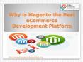 Why is Magento the Best Ecommerce Development Platform PowerPoint PPT Presentation