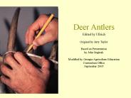 Deer Antlers