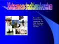 Vietnamese traditional custom PowerPoint PPT Presentation