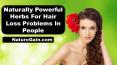 Naturally Powerful Herbs For Hair Loss Problems In People PowerPoint PPT Presentation