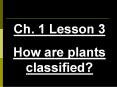 Unit A  Lesson 3  How are plants classified? PowerPoint PPT Presentation