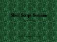 Shell Script Seminar PowerPoint PPT Presentation