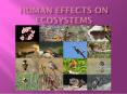 HUMAN EFFECTS ON ECOSYSTEMS PowerPoint PPT Presentation
