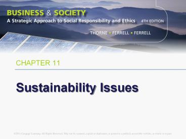 Sustainability Issues