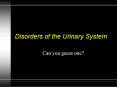 Disorders of the Urinary System PowerPoint PPT Presentation