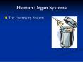 Human Organ Systems PowerPoint PPT Presentation