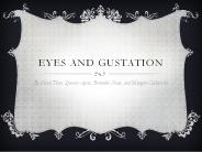 Eyes and Gustation