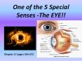 One of the 5 Special Senses -The EYE!! PowerPoint PPT Presentation