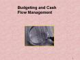 Budgeting and Cash Flow Management PowerPoint PPT Presentation