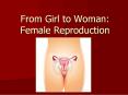 From Girl to Woman: Female Reproduction PowerPoint PPT Presentation