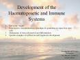 Development%20of%20the%20Haematopoietic%20and%20Immune%20Systems PowerPoint PPT Presentation
