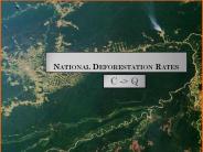 National Deforestation Rates