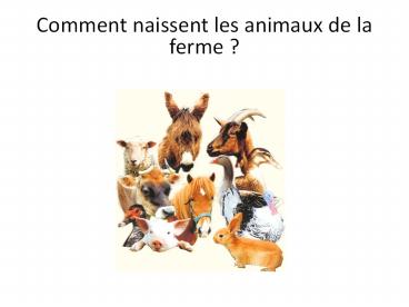 Comment naissent les animaux de la ferme ?