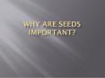 Why are seeds important? PowerPoint PPT Presentation
