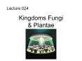 Kingdoms Fungi PowerPoint PPT Presentation