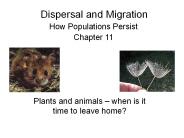 Dispersal and Migration