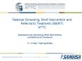 National Screening, Brief Intervention and Referral to Treatment (SBIRT) ATTC PowerPoint PPT Presentation