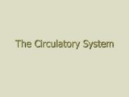 The Circulatory System