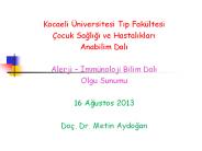 Kocaeli 