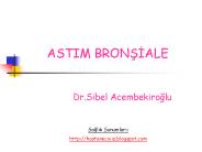 Dr.Sibel Acembekiroglu