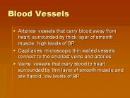Blood Vessels