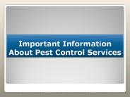 Important Information About Pest Control Services