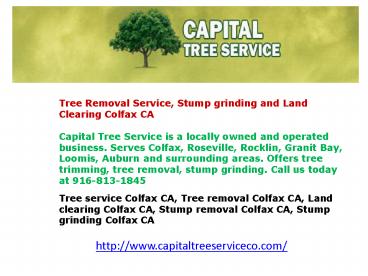Stump removal Colfax CA, Stump grinding Colfax CA