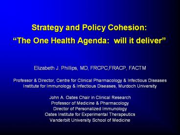 Strategy and Policy Cohesion: 