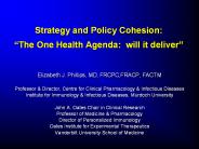 Strategy and Policy Cohesion: 