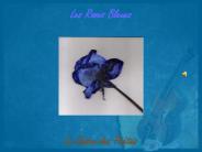 Les Roses Bleues