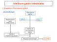 Infections gastro-intestinales PowerPoint PPT Presentation