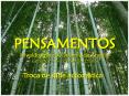 Pensamentos PowerPoint PPT Presentation