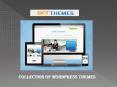 Why are Multipurpose WordPress Themes Becoming More and More Popular? PowerPoint PPT Presentation