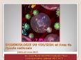 EPIDEMIOLOGIE DU VIH/SIDA et Axes de riposte nationale      Limbe,18 mars 2010          Dr TCHEMGUI NOUMSI Nathalie Flore                Coordonnateur Adjoint HDJ/HCY PowerPoint PPT Presentation