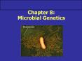 Chapter 8: Microbial Genetics PowerPoint PPT Presentation