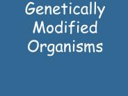 Genetically%20Modified%20Organisms